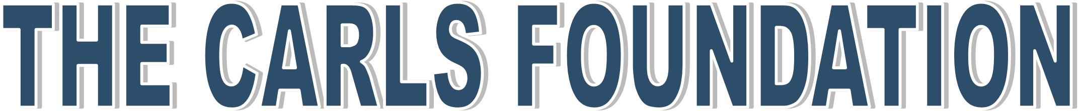 2021 - The Carls Foundation Grant Image